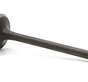 VALVULA ESCAPE LEAD 110