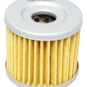 FILTRO OLEO BURGMAN250/400