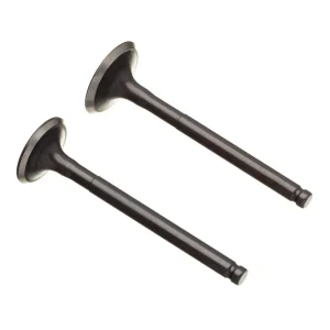 VALVULA ADMISSAO CB250 TWISTER 16/22